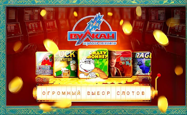 promokod dla olimp 3